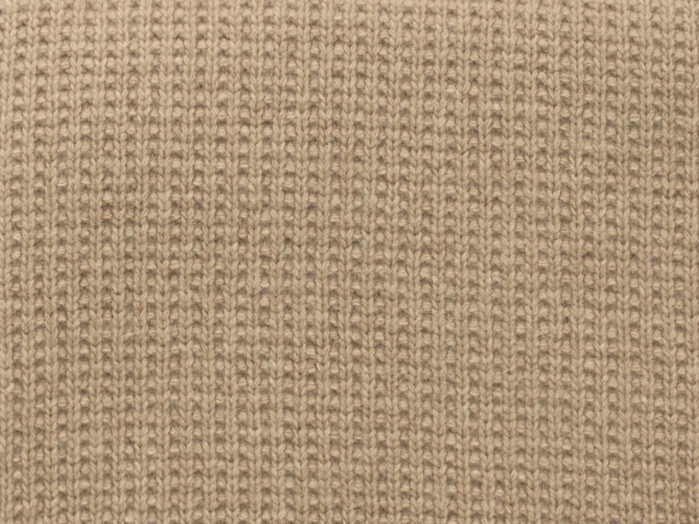 Pettra Collection