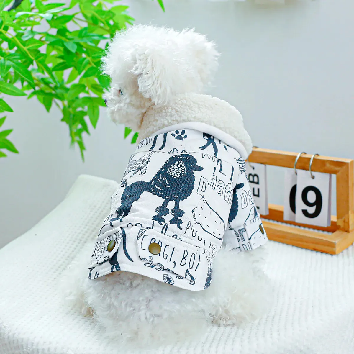 Winter Elegance: Plush Lapel Padded Coat with Drawstring Buckle for Small to Medium Dogs - Stylish Warmth for the Cold Season