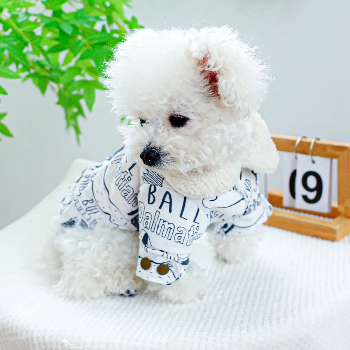 Winter Elegance: Plush Lapel Padded Coat with Drawstring Buckle for Small to Medium Dogs - Stylish Warmth for the Cold Season